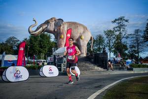 BIB: 
                            <button type="button" onclick="openModal(26541965)" class="btn btn-primary btn-sm float-right btn-popup" data-toggle="modal" data-target=".modal-high-quality">
                        <i class="fas fa-shopping-cart"></i> Add to Cart
                    </button>
                                            <button type="button" onclick="isThisMe(26541965, true)" class="btn btn-success btn-sm float-right btn-popup btn-isme hidden" data-toggle="tooltip" data-placement="bottom" title="นี่คือรูปของคุณใช่ไหม คลิกที่นี่เพื่อเอาเข้าอัลบั้ม">
                        <i class="fas fa-plus"></i> Add to album
                    </button>
                    <button type="button" onclick="isThisMe(26541965, false)" class="btn btn-warning btn-sm float-right btn-popup btn-isnotme hidden">
                        <i class="fas fa-ban"></i> Remove from album
                    </button>